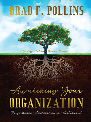 cover image of Awakening Your Organization
